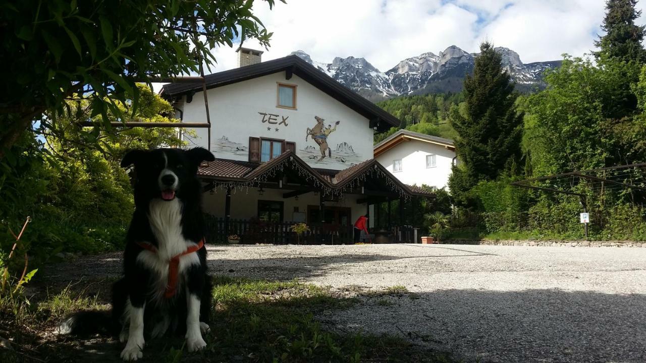 Botton D'Oro Delle Dolomiti Bed & Breakfast Vattaro Luaran gambar